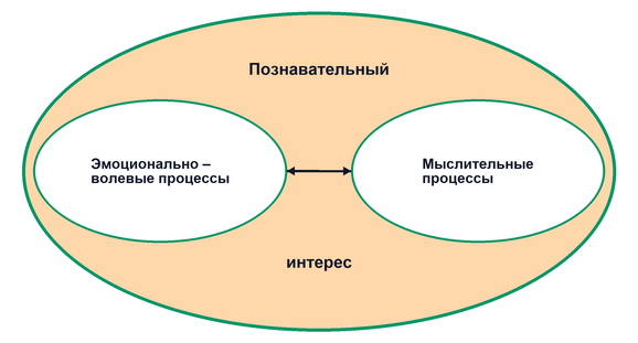 Познавательный интерес и его развитие