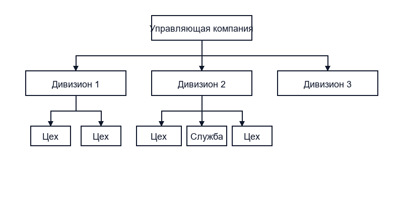 Финансовая структура холдинга