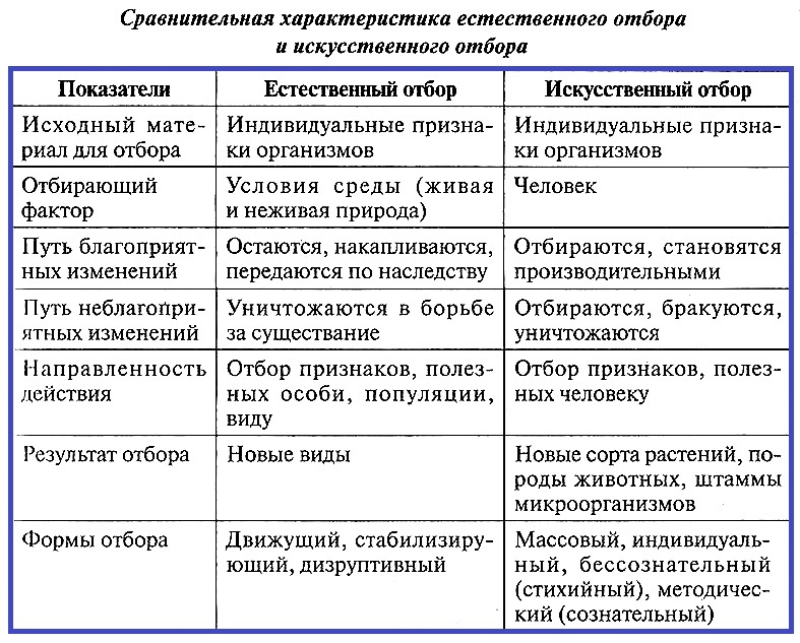 Особенности естественного и искусственного отбора