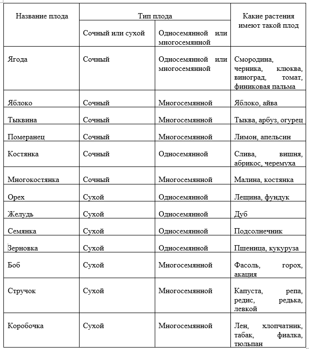 Общая характеристика типов плодов