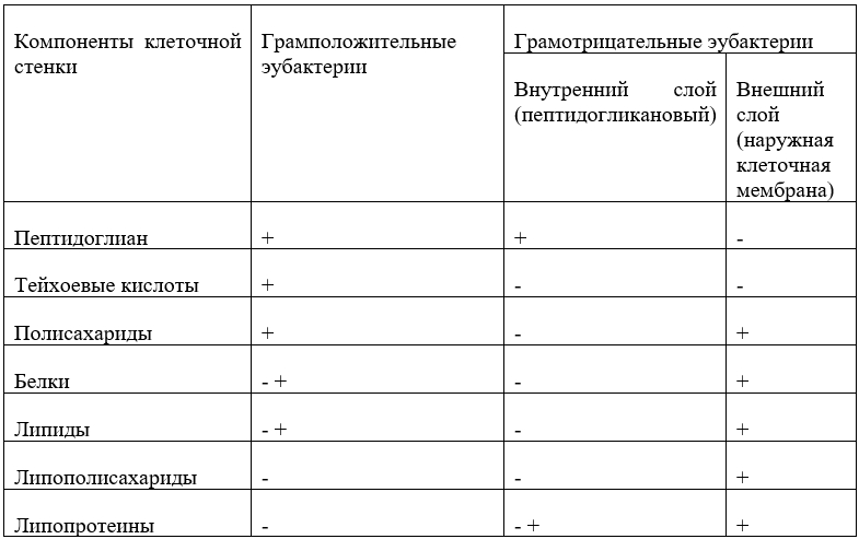 Структура клетки бактерии