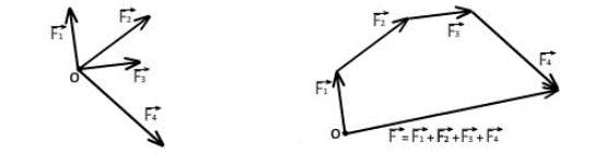 Правило параллелограмма и правило многоугольника