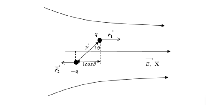 Электрический момент диполя и его потенциальная энергия во внешнем электрическом поле