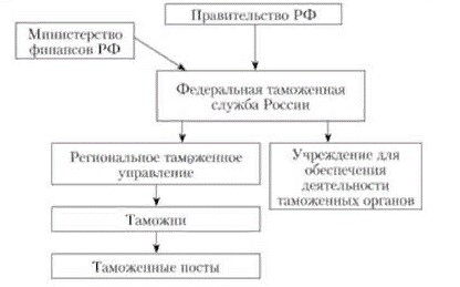 Таможенные органы Российской Федерации: система и структура